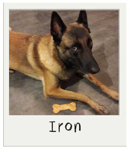 Iron